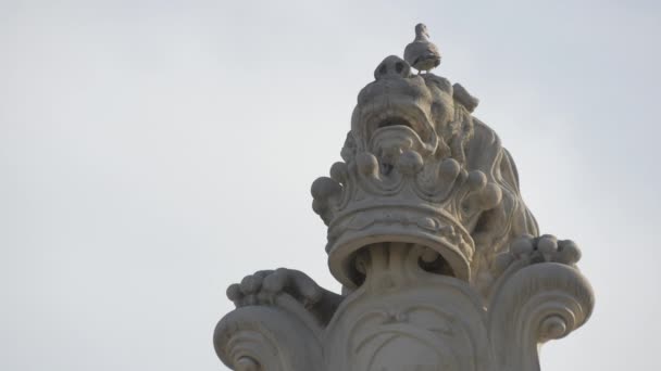 Pájaro Encima Una Escultura — Vídeos de Stock