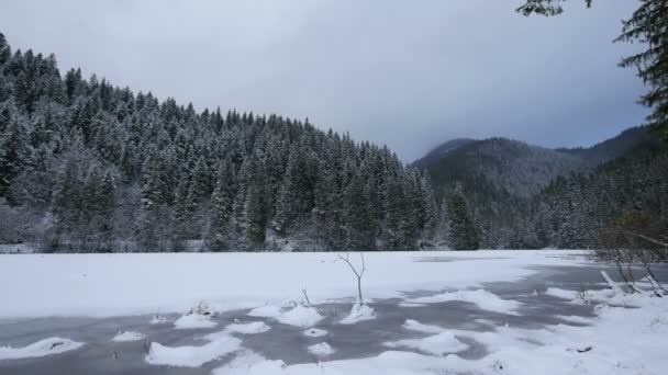 凍った赤湖の近くの森のパノラマビュー — ストック動画