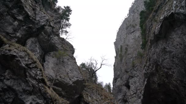 Βράχια Του Cheile Bicazului — Αρχείο Βίντεο