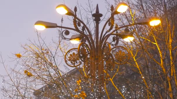 Straatlamp Met Kerstmis — Stockvideo