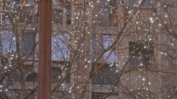 Noel Işıkları Olan Yapraksız Ağaç Dalları — Stok video
