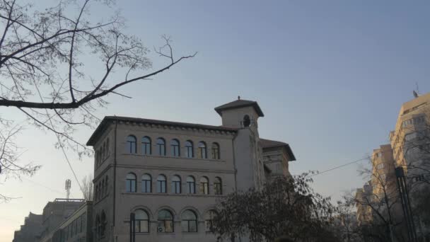 Pájaros Volando Por Edificio — Vídeos de Stock