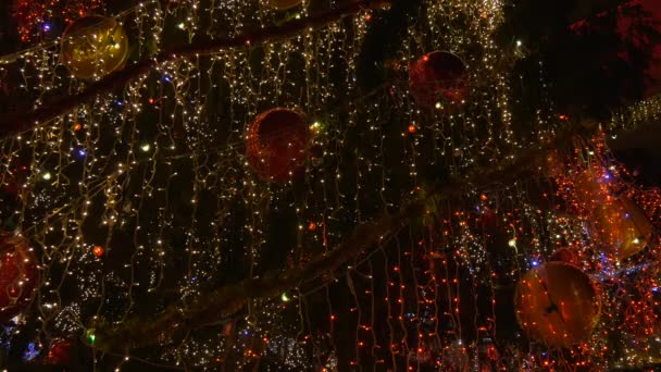 Vista Árvore Natal Decorada — Vídeo de Stock