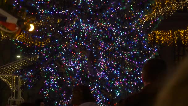 Vánoční Stromek Barevnými Světly — Stock video
