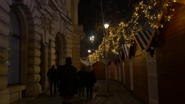 Mensen Die Langs Kraampjes Lopen — Stockvideo