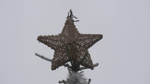 Weihnachtsbaum Sterne Ansicht — Stockvideo