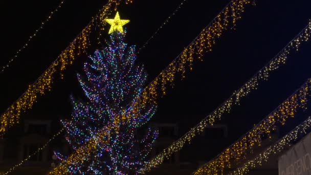 Díszített Karácsonyfa Arany Fények Éjjel — Stock videók