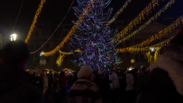 晚上绕着圣诞树散步 — 图库视频影像