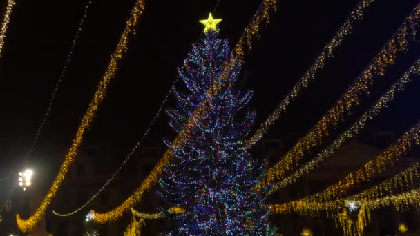 Christmas Tree Golden Lights — Stock Video