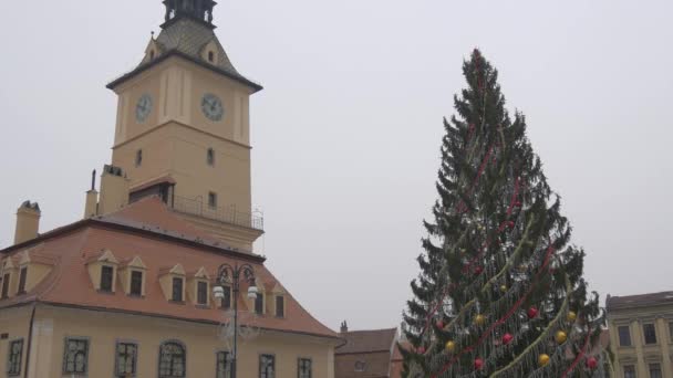 Árbol Navidad Museo Historia Brasov — Vídeo de stock
