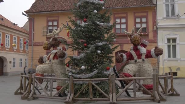 Tilt Reindeer Decorations Christmas Tree — Stock Video