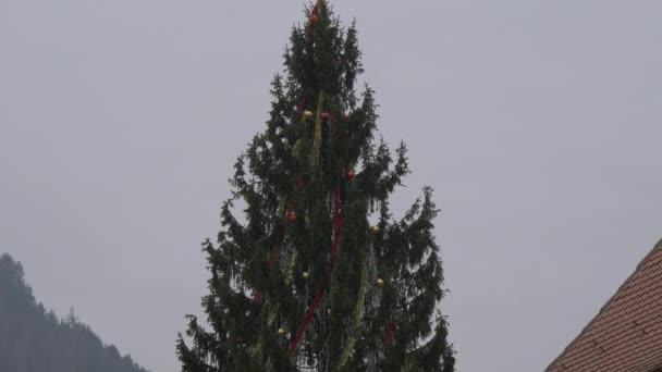 Arbre Noël Par Une Journée Nuageuse — Video