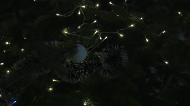 Weihnachtsbeleuchtung Und Girlanden Baum — Stockvideo