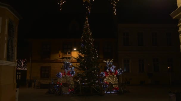 Dekoracje Reniferów Choinką Nocy — Wideo stockowe