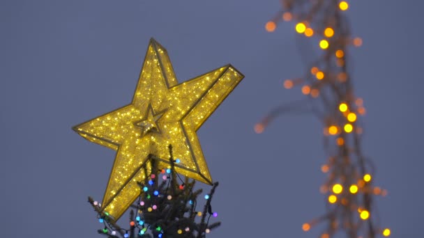 Χρυσό Αστέρι Ένα Χριστουγεννιάτικο Δέντρο Βράδυ — Αρχείο Βίντεο