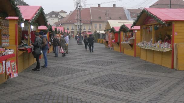 People Visiting Christmas Market — Stock Video