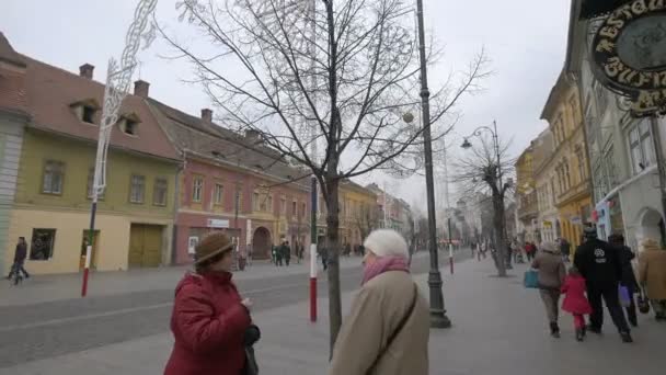 Gente Caminando Por Calle Navidad — Vídeos de Stock