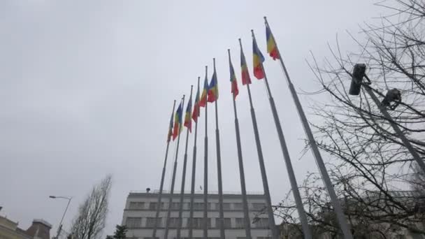 Bandeira Avram Iancu Square Cluj Napoca — Vídeo de Stock