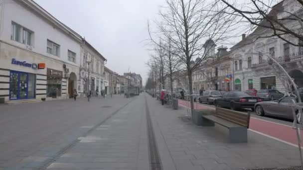 Boulevard Med Gågata — Stockvideo