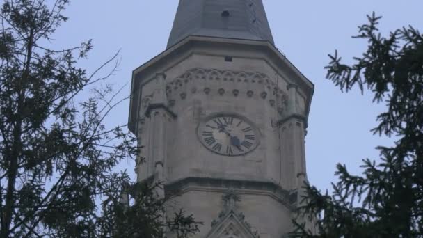 Uhrturm Von Ästen Umgeben — Stockvideo