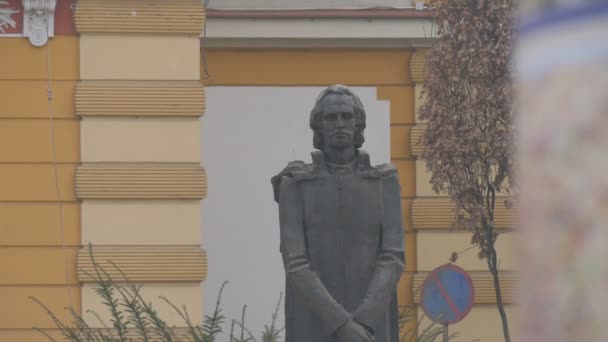 Mihai Eminescu像の眺め — ストック動画