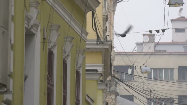 Elektrik Kabloları Olan Binalar — Stok video