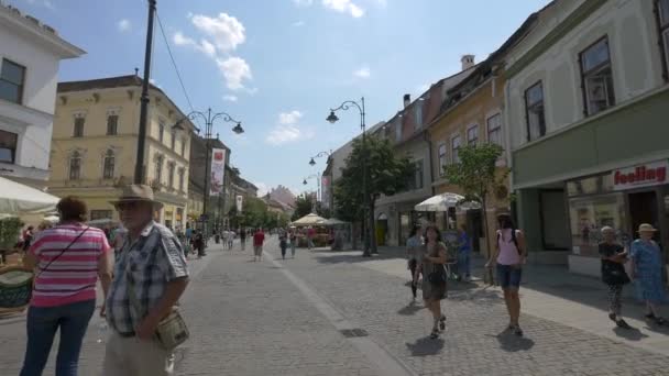Crowd Nicolae Balcescu Street Sibiu — Stockvideo