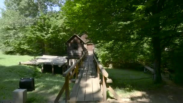 Pont Maison Bois Musée Astra — Video