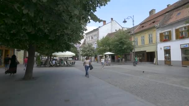 Sibiu的Nicolae Balcescu街 — 图库视频影像