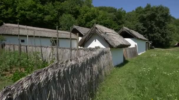 Alte Reetdachhäuser Astra Museum Sibiu — Stockvideo