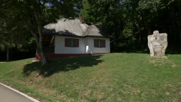 Houten Sculptuur Bij Een Traditioneel Huis — Stockvideo