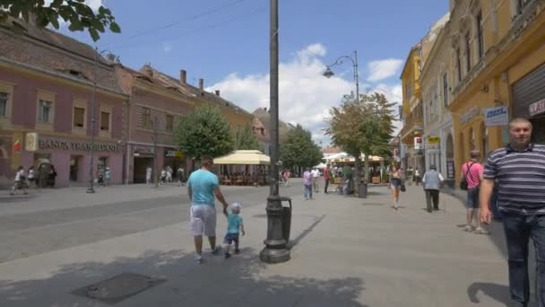 Wandelen Nicolae Balcescu Street Sibiu — Stockvideo