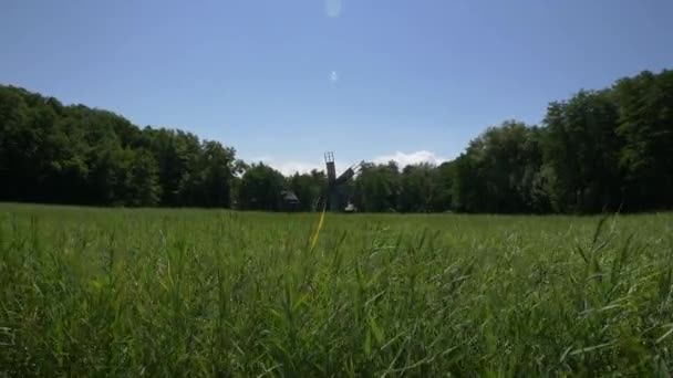 有风车的绿地 — 图库视频影像
