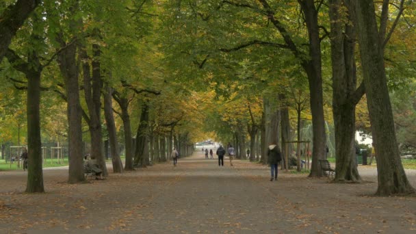 Cenevre Deki Parc Des Bastions Sokağı — Stok video