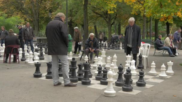 在日内瓦Parc Des Bastions下棋的男人 — 图库视频影像