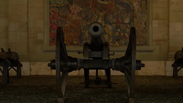 Blick Auf Alte Kanonen Ausstellung — Stockvideo