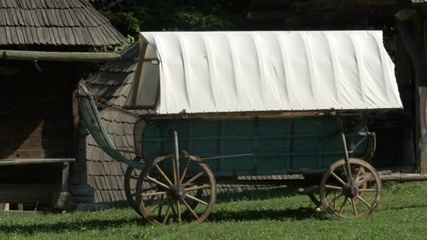 View Traditional Wooden Cart — Stock Video