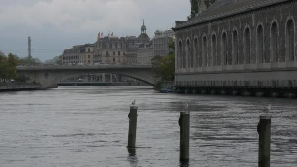 Ποταμός Rhone Ρέει Στη Γενεύη — Αρχείο Βίντεο