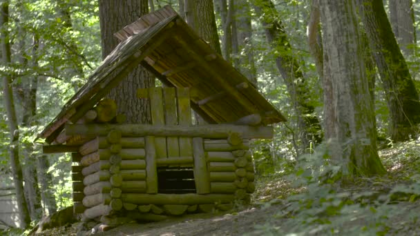 森林中的木制房屋 — 图库视频影像