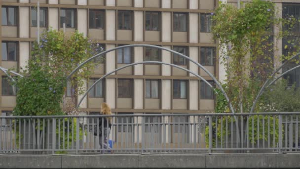 Pont Des Bergues Geneva — Stock Video