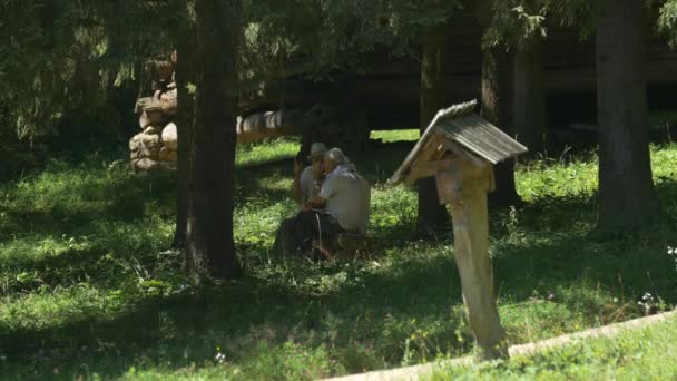 Vieux Hommes Relaxant Sous Les Arbres — Video