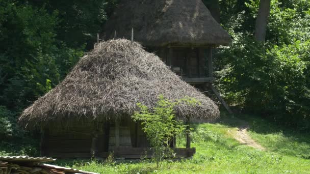 Hus Med Halmtak Friluftsmuseet — Stockvideo