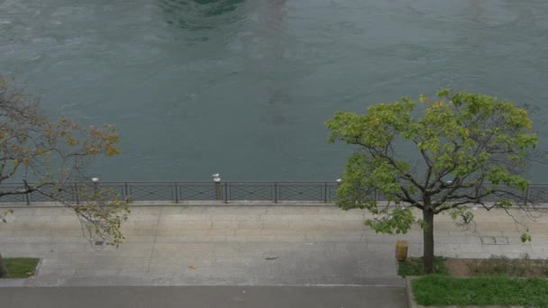 Υψηλή Γωνία Της Προκυμαίας Του Ροδανού Στη Γενεύη — Αρχείο Βίντεο
