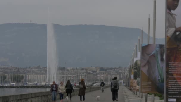 Vattnet Genève — Stockvideo