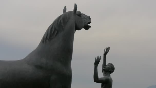 Adolescente Estátua Cavalo — Vídeo de Stock