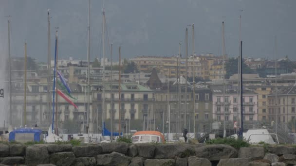 Boats Buildings Lake Shore Geneva — Vídeo de stock