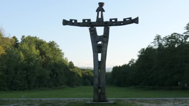 Wooden Sculpture Astra National Museum — Stok Video