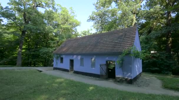 Astra Ulusal Müze Kompleksindeki Mavi Kulübe — Stok video