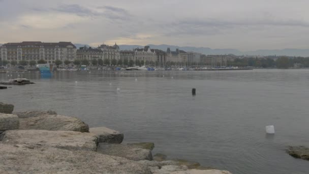 Pobřeží Jezera Ženevě — Stock video