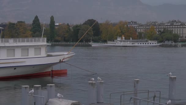 ジュネーブ湖に停泊中のボート — ストック動画